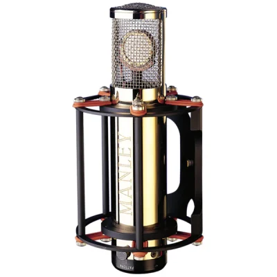 REFERENCE Microphone 金