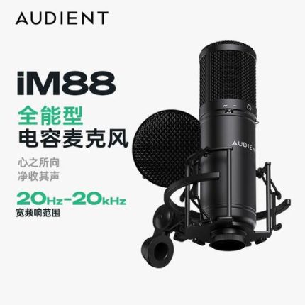 Audient/奥顿特iM88
