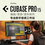 Cubase 15 Pro Steinberg 正版