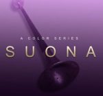 Evolution Series World Colors Suona KONTAKT 中国唢呐-宸音商城 - 编曲混音资源与在线商城
