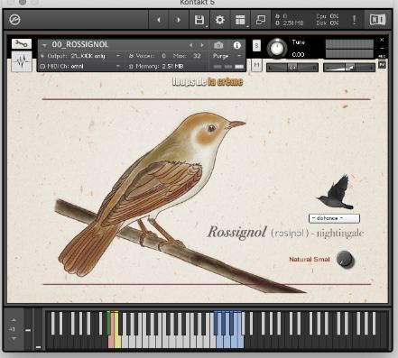 Loops De La Creme Songbird Virtuoso KONTAKT 鸟叫.夜莺红雀红尾鸲虚拟鸣禽音源缩略图